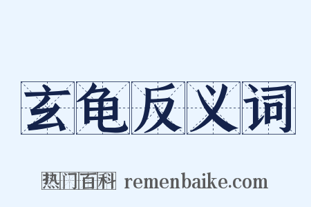 玄龟反义词是什么意思的图片